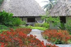 Maya Mountain Lodge Cottage