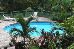 Maya Mountain Lodge pool